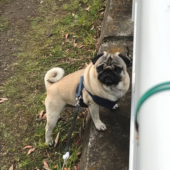 26dc6821 ab19 4456 bc28 f53f67c35ab5