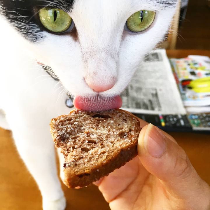 26dcad29 b03f 4ae5 8135 0fdfa4e71c14