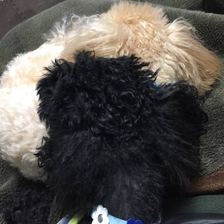 26dd2625 bfb4 4785 88d4 0201b7eb060d