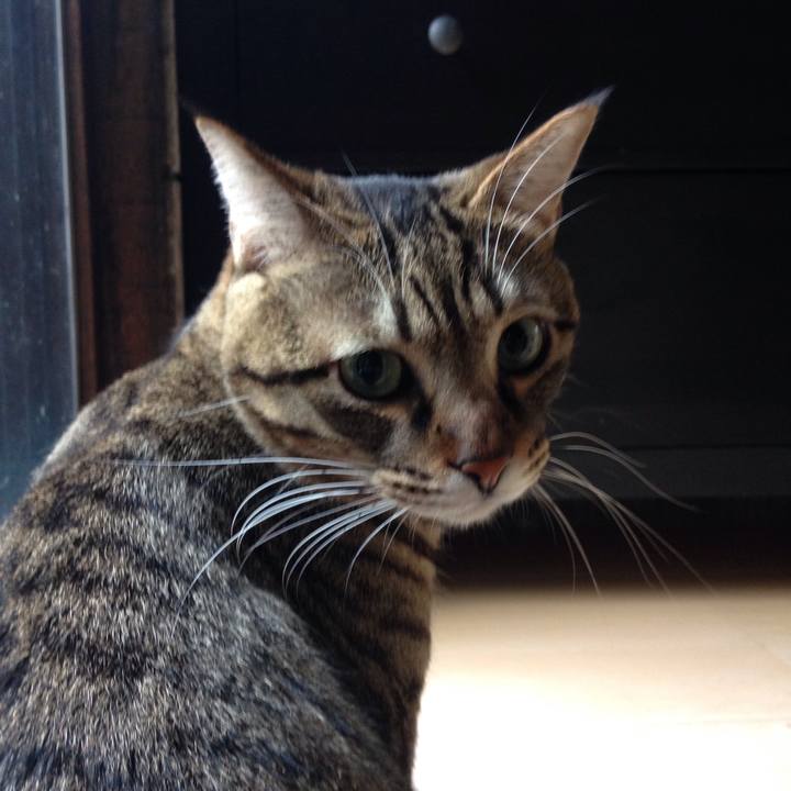 26dd42ce 1cb0 43b7 84c5 fa5212cc2b23