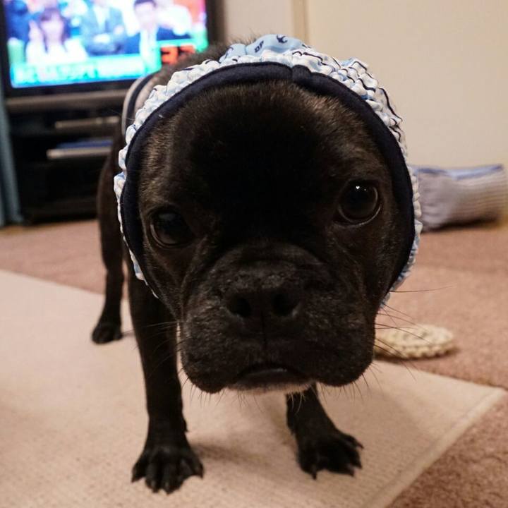 26dd8fdb 1d8c 4aa7 b955 a884164b9228