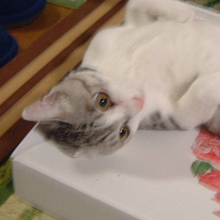 26dee183 336d 45a6 9ca4 6b23ae5c5885