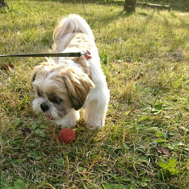 26df18af 7d9d 41e2 b4be b91060e77cbc