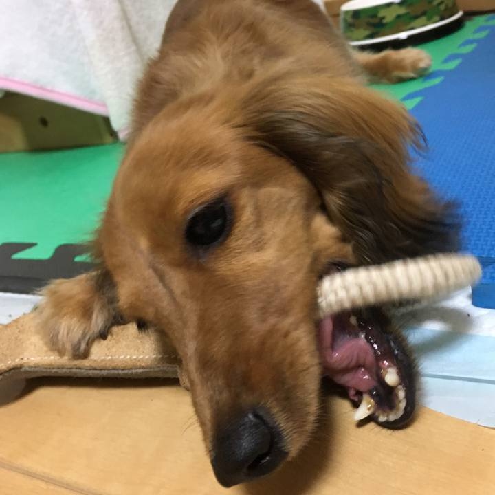 26df4cd9 ffbc 46d6 9077 3f299c70a7ba