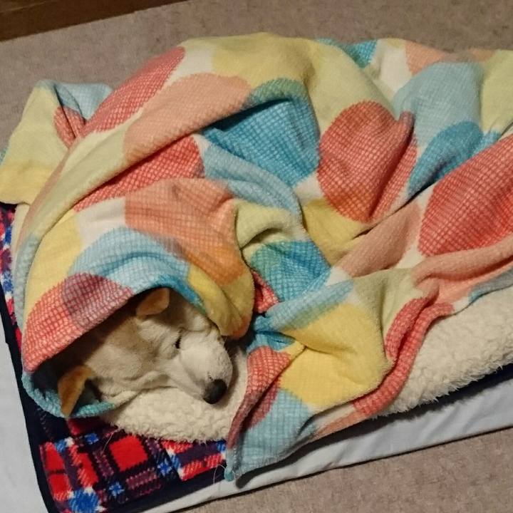 26df9e67 80a2 4cd1 8e68 29602a3a664a