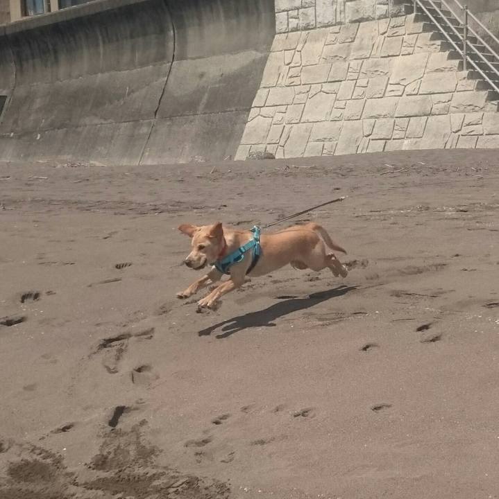 26dfa89e 1de6 4f18 8f62 41b5e3dc91cb