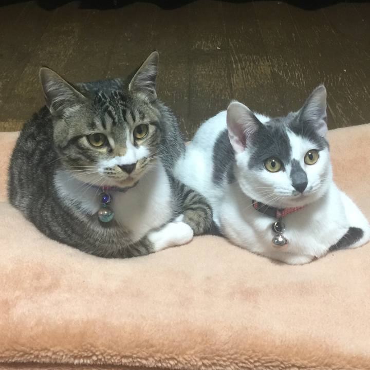 26dfd68a 853d 4bb1 b24a dd2583d3f045