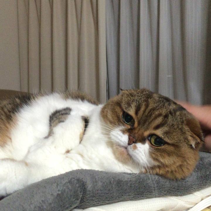 26e02724 057b 4bba 8e26 3778f4508bdd