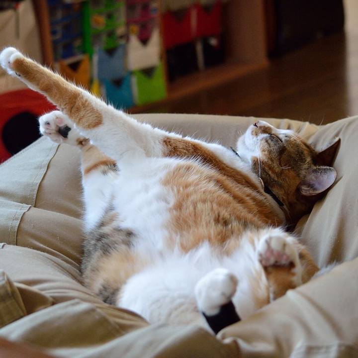 26e0a9ff 5d28 4519 8f83 8288694e2a09