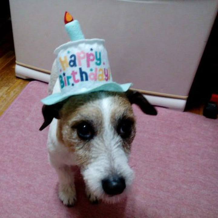 26e15934 d373 488c 9608 bbe544e7ab76