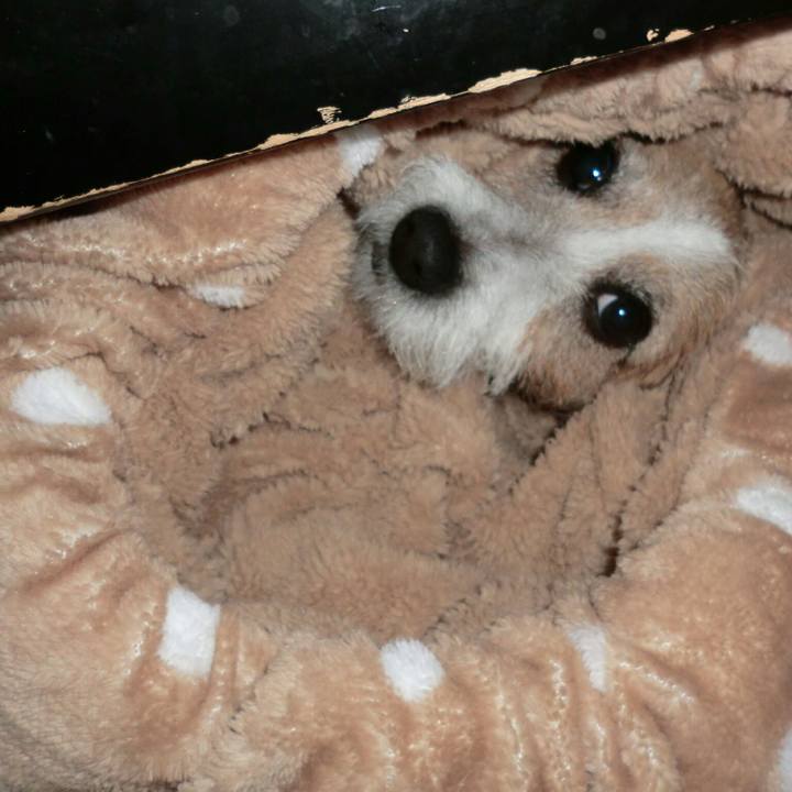 26e15f6e 0deb 4fc5 b996 bf7748bdeb93