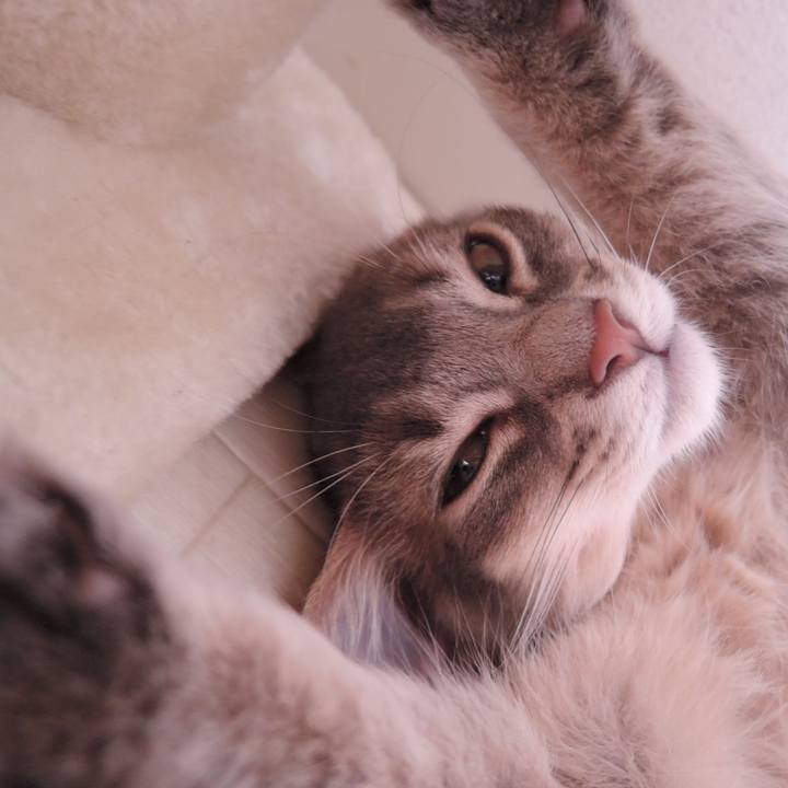 26e19d36 17c7 49a6 ae42 c3ea5e3fb433