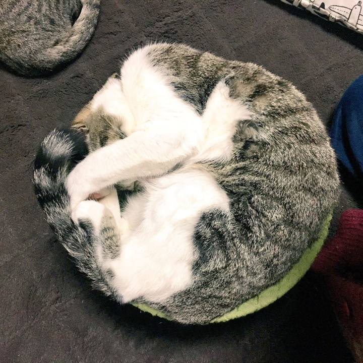 26e27eac 6424 43fe 93aa a318d2e71362