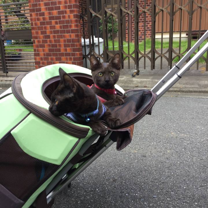 26e2d4c0 d740 490c 9454 91f4a424cec2