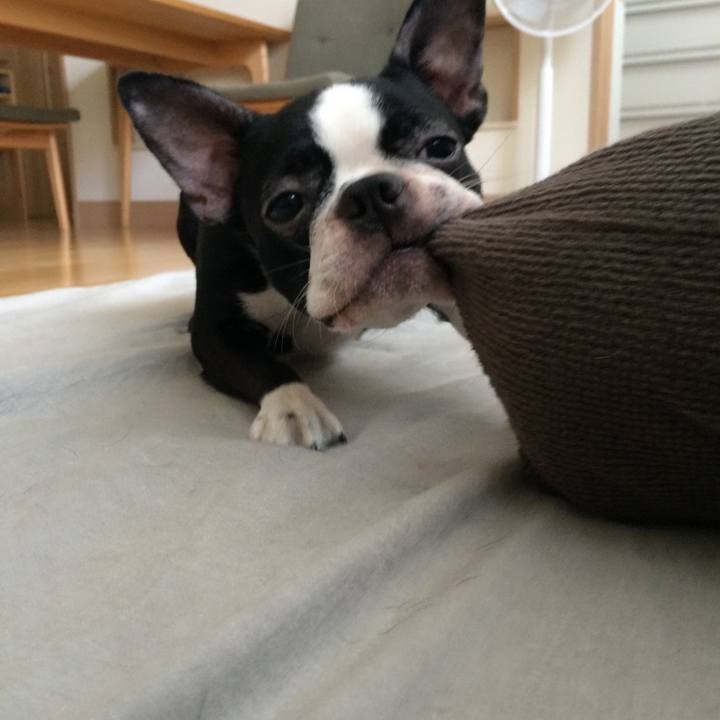 26e3114b 3248 4b8f b610 98fe82d1ed0c