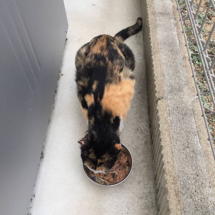 26e3424c f673 4ba6 abe9 228c899c5a94