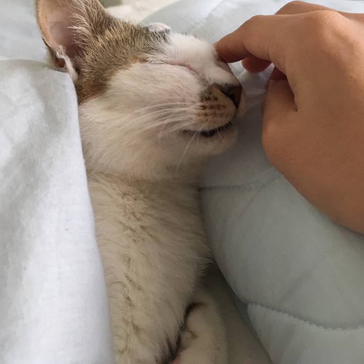 26e36eb6 4b2e 4954 8e27 26fe53b5c295