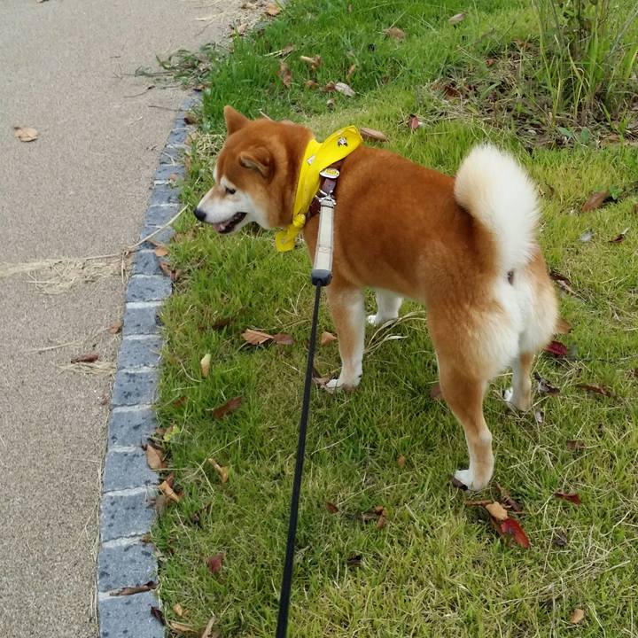 26e3dc50 6ff4 4218 97dc 4f4a9fb7cc96