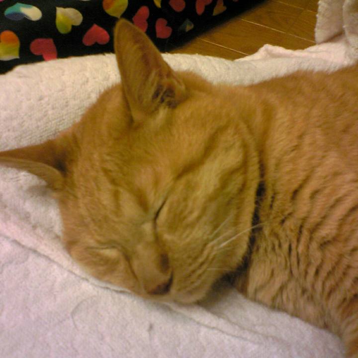 26e46399 c033 4ccb 900b b4134a6a1bb8