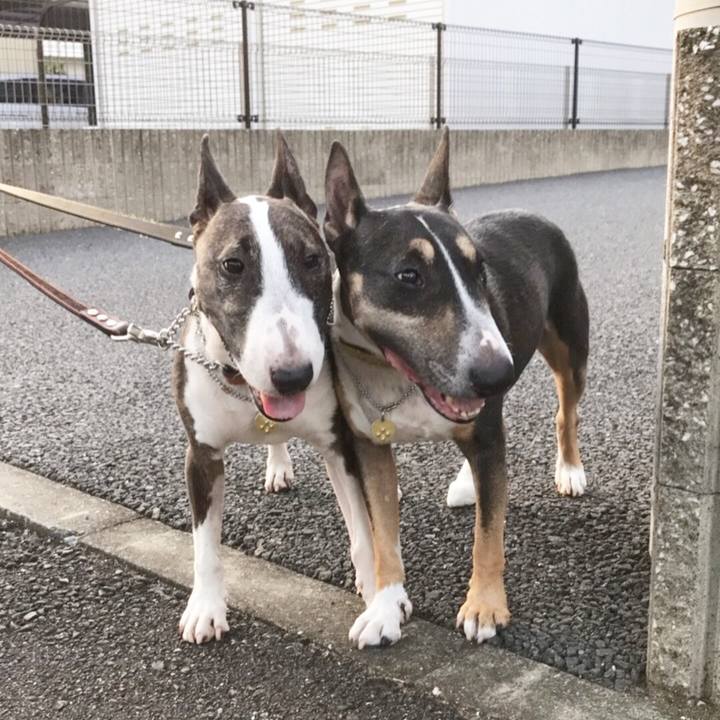 26e4da04 0db0 4776 80d9 26b1a18c9a75