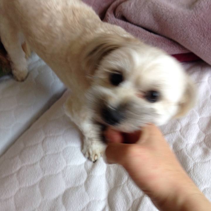 26e4f53f d9c8 4d9a bb35 aaebd68db793