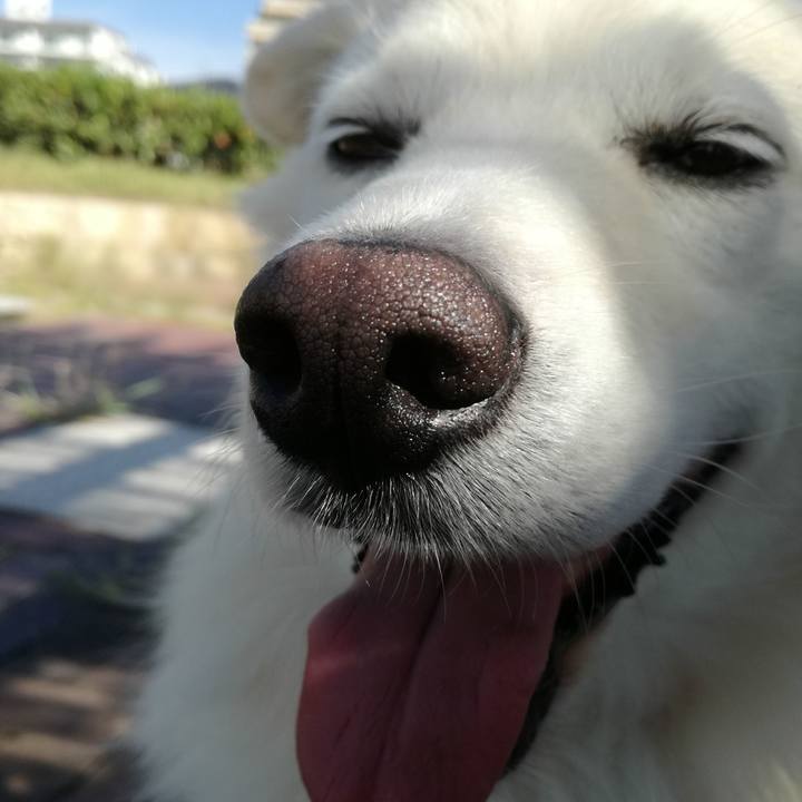 26e51877 3bf7 41ce 986f 3be19a3a8a29