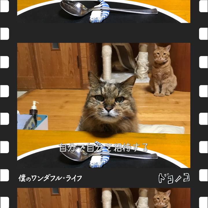 26e520b9 6f38 45f2 85f0 2fe5f46f745d