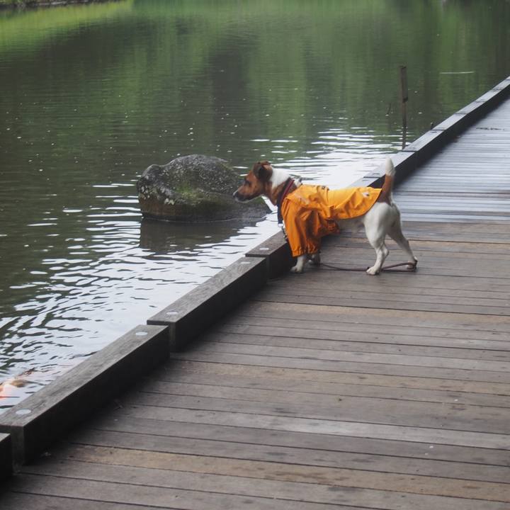 26e56da4 fd95 4955 a0e0 493217b6f35e