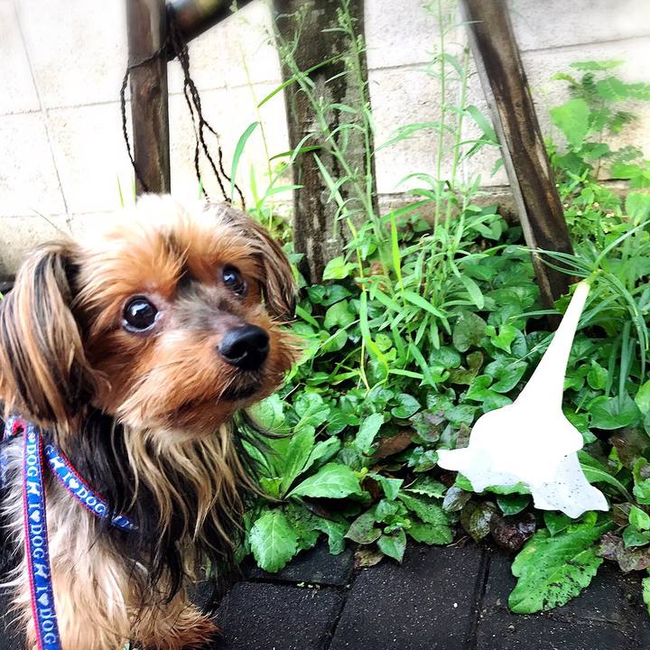 26e5a624 e949 4de9 adf6 6ca61140af2a