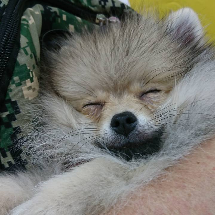 26e5af35 dc0f 4069 8b0a 4dc09af9a7a7