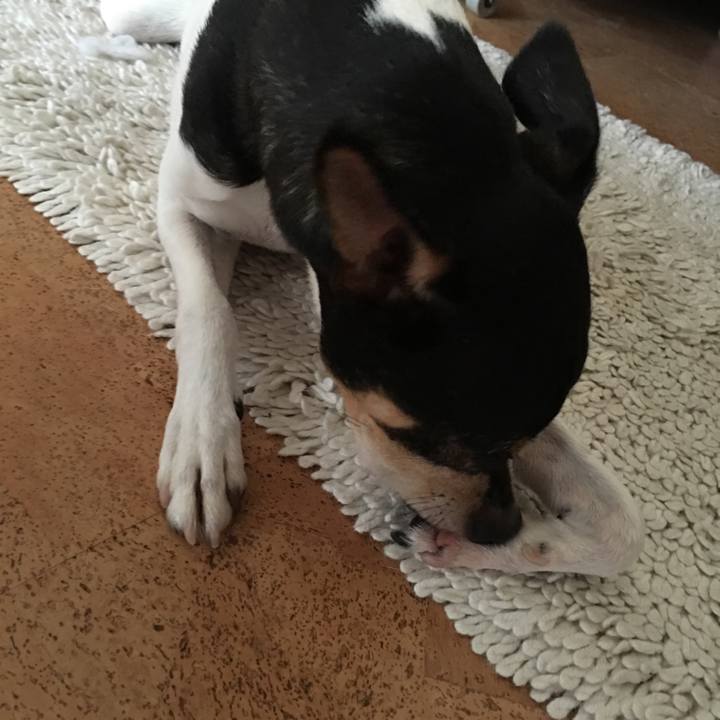 26e5b337 1315 4f29 8d90 d0f44d333b8b