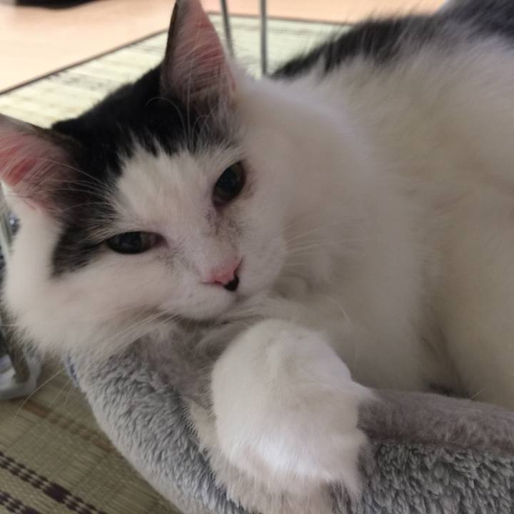 26e65824 ee8a 4960 b293 8e29abe1bad6