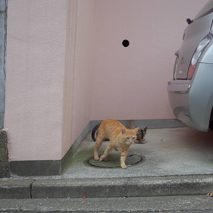 26e6836b e57b 48a3 960b 34d4fe05ea25