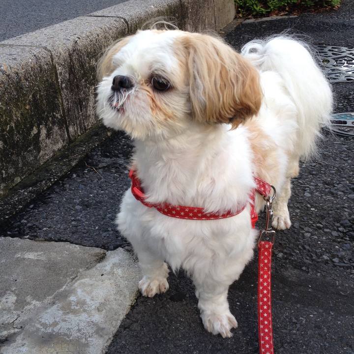 26e6ab14 fcb3 4efb 8bcd 191948065881