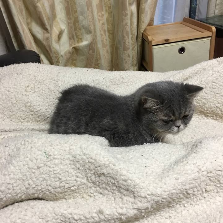 26e76a91 0667 4d06 a9d8 015b8b4c5209