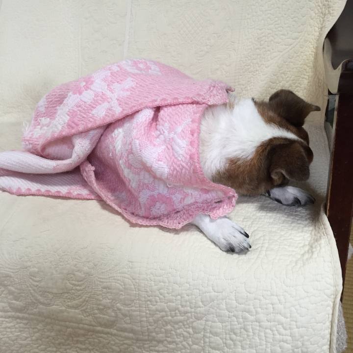 26e7ccbe 8171 4148 89a2 867899bf16e8