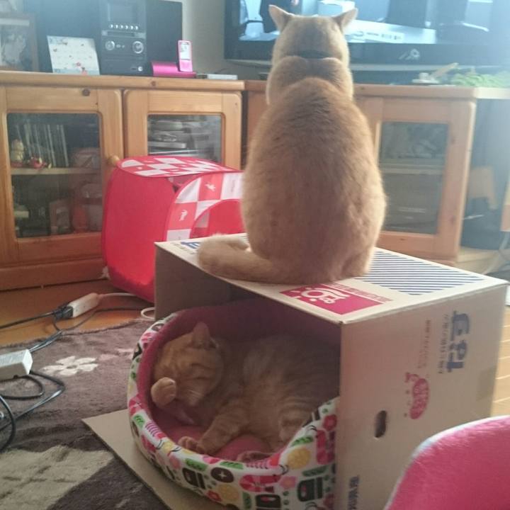 26e80de3 52c5 4e4c 906d 631bb5a3edc3