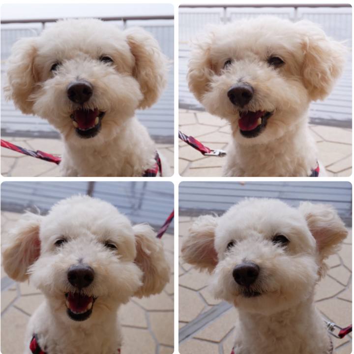 26e937e7 a633 4bfe 92c6 d536a9e4231a