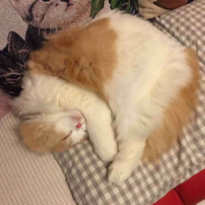 26e97e9c 4e03 42de 97fd 7e2cc9634a7c