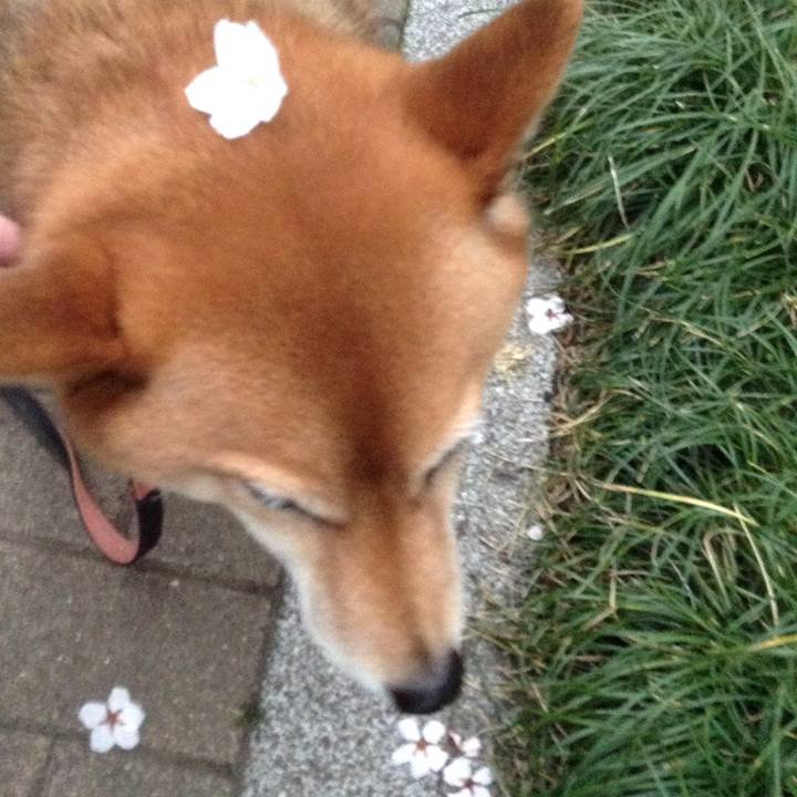 26e98793 8a5e 4e4f 9e84 941a118b19a0