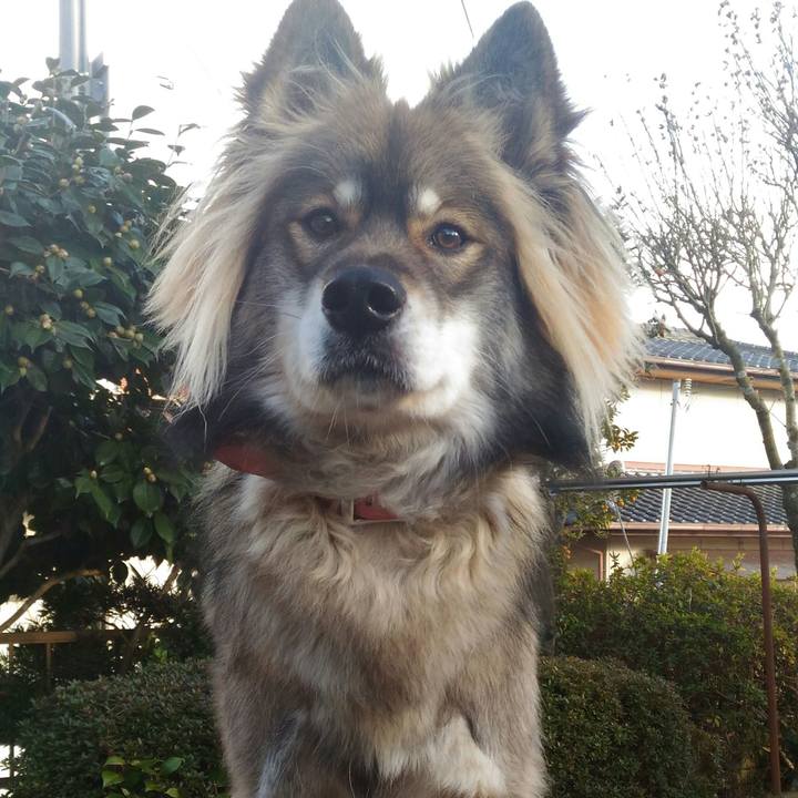 26e9a872 8550 429b a5c6 7d49e6f4074c