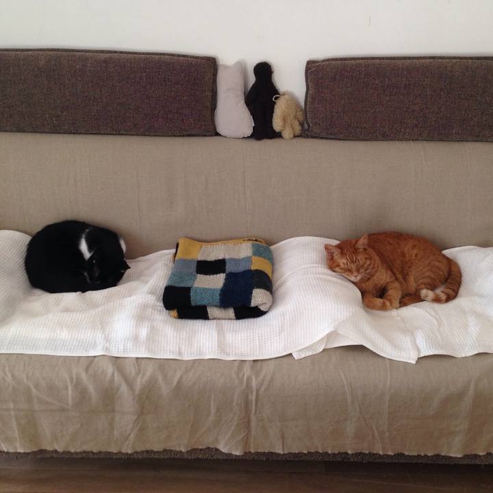 26e9af04 a932 447d a027 ac0f43b8af56