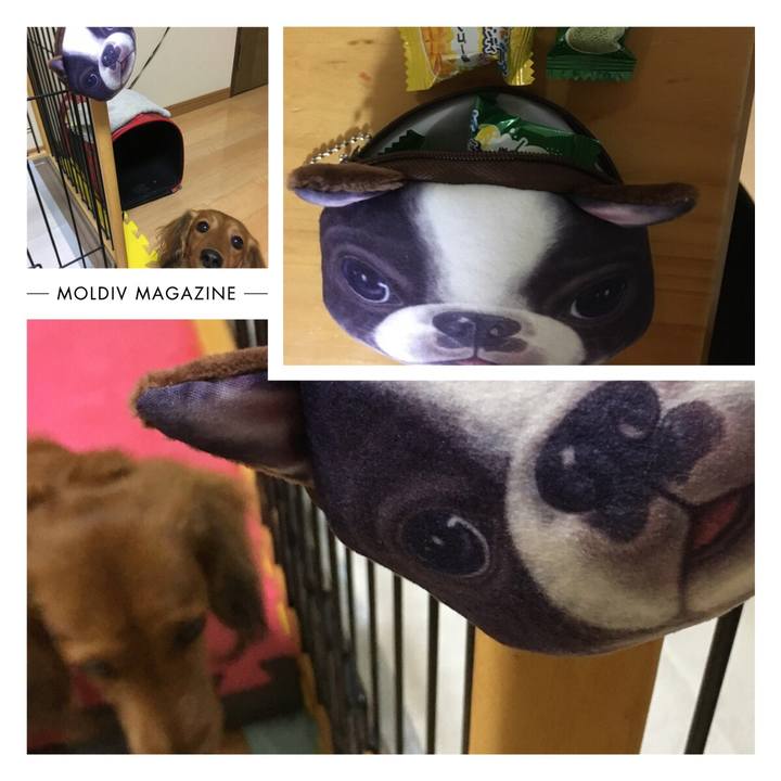 26e9db64 99de 4ced a385 70103aa34337