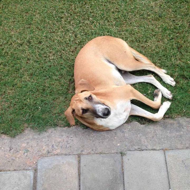 26ea6f7e 7263 4ce5 9b10 31cbb4214eaf