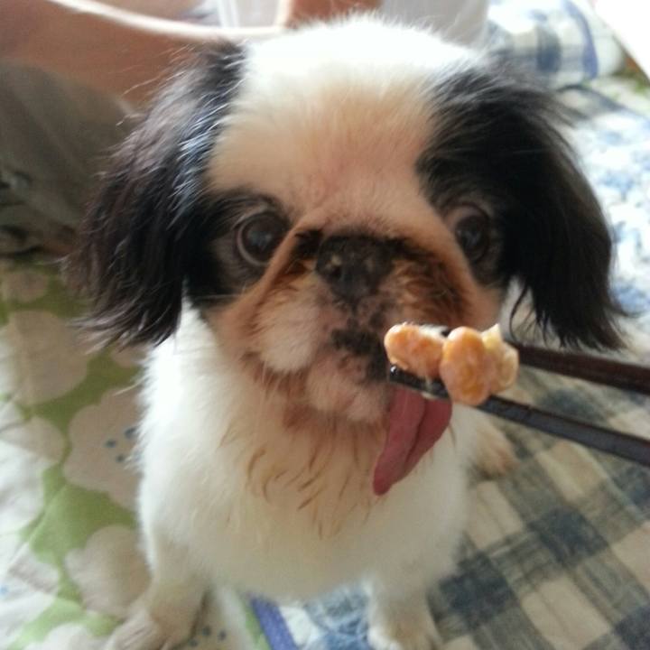 26eac560 17fc 4c68 8dbf 81cd335c1efd