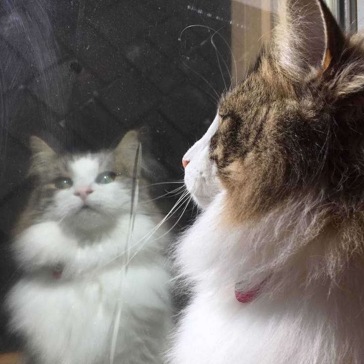 26eb5e1c ebf3 481a 857e b8b12311dc83