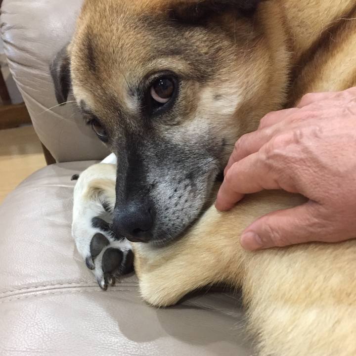 26ebe09b 2beb 491c 82ec 230b19ce1765