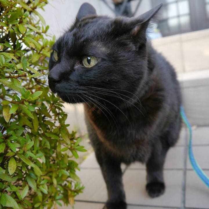 26ebfe6b 9ad0 41eb b957 f88dac48776a