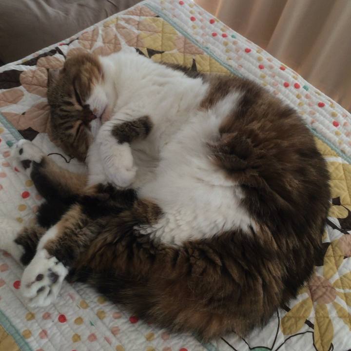 26ec0e88 200f 41b4 8576 084e6f4a11e4