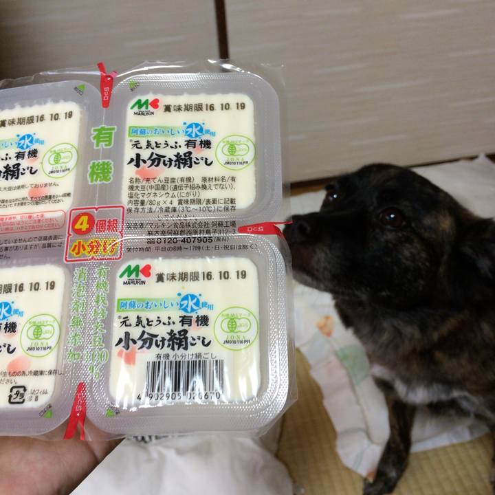 26ec299e 85d5 4af8 ab76 b30e72a0896c